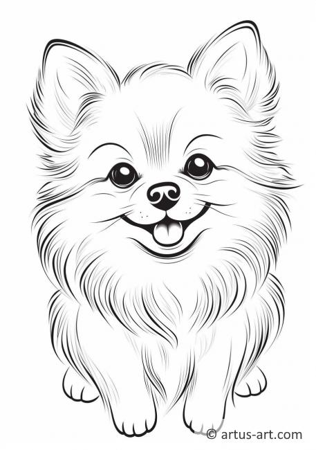 Cute Pomeranian Coloring Page